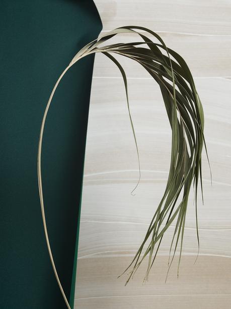 Discoveries No.16 Leaf Thomas Brown Leaf Thomas Brown portrait de feuille