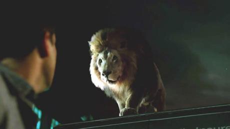 Zoo – Les animaux se rebellent