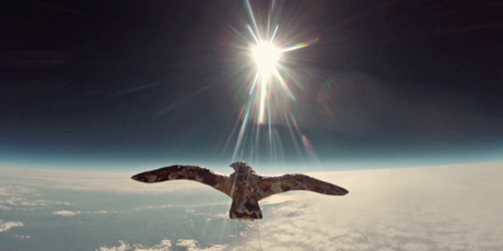 Laurent Lamarca – Le Vol des Cygnes