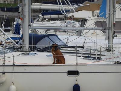 La Rochelle au matin : l'appel du large