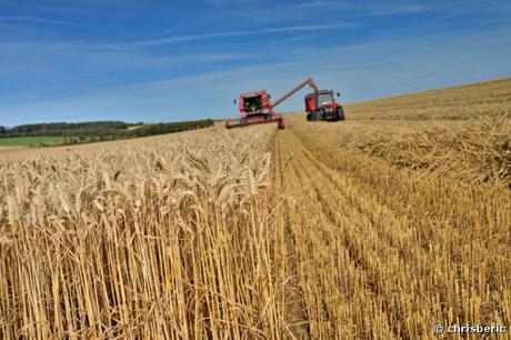 Agriculture : Le nombre de conversions en bio a augmenté de 25% de 2014 à 2015 en région Poitou-Charentes