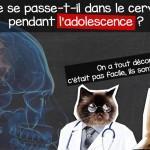 Ados – Que se passe t’il dans votre cerveau Ca clash dans le cerveau des adolescent entre raison et passion