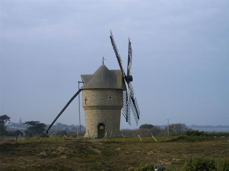 ça mange pas de pain