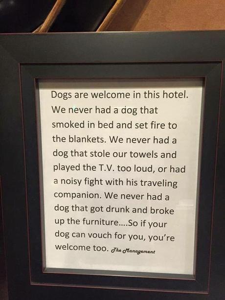 Les chiens sont les bienvenus dans cet hôtel