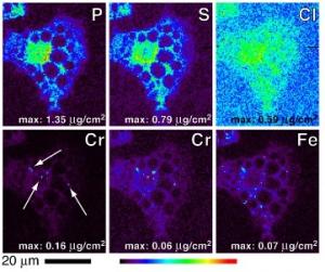 COMPLÉMENTS MINCEUR: Quand le chrome devient cancérigène – Angewandte Chemie