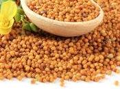 Dinde moutarde Cookéo