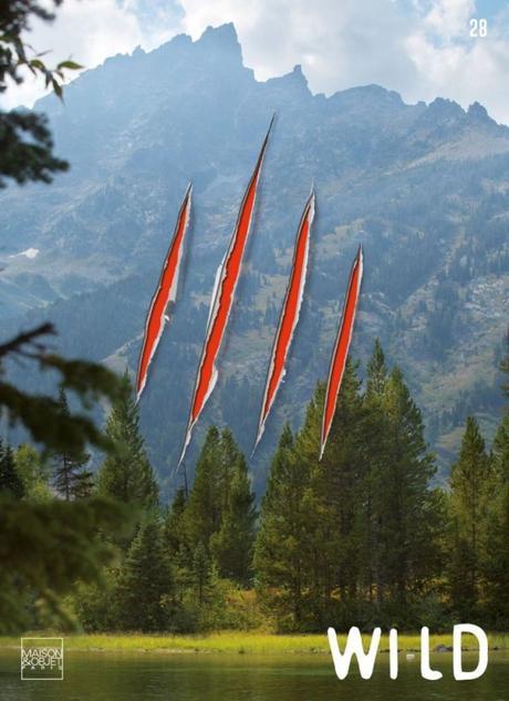 Inspiration Wild, Janvier 2016