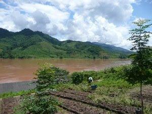 MÉKONG ET PROUST, UNE RENCONTRE IMPROBABLE