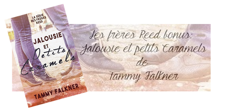 Les frères Reed tome 3 de Tammy Falkner