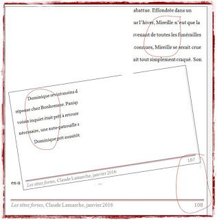 Carnet du prochain roman (5)ou la plainte du travailleur solitaire