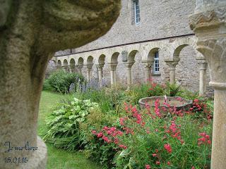 La Photo du Mois #12 : Jardin secret