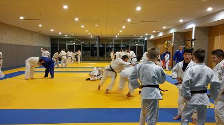 Randoris, randoris, randoris