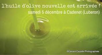 Découvrez l’Huile d’olive ‘nouvelle’ de Bastide du Laval ! imgres-5