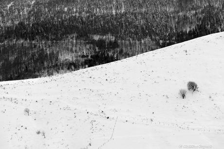 Quand la neige recouvre ce paysage ardéchois - Photo noir et blanc de Matthieu Dupont