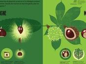 Chouette Hibou: livre jeunesse super chouette!!