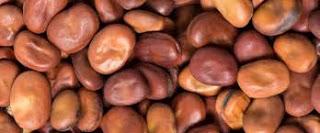 fabophile : cekoimême