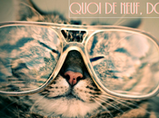 Toujours recherche “bonheur”