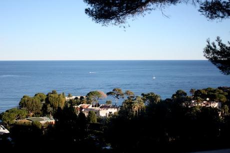 Une journée d'hiver... dans les jardins de la Villa Ephrussi de Rothschild Une journée d'hiver... dans les jardins de la Villa Ephrussi de Rothschild