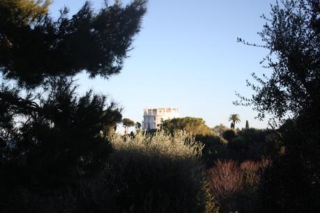 Une journée d'hiver... dans les jardins de la Villa Ephrussi de Rothschild Une journée d'hiver... dans les jardins de la Villa Ephrussi de Rothschild
