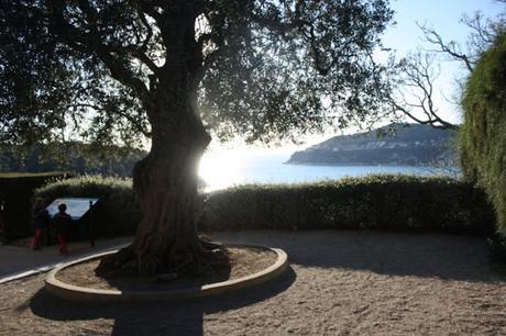 Une journée d'hiver... dans les jardins de la Villa Ephrussi de Rothschild Une journée d'hiver... dans les jardins de la Villa Ephrussi de Rothschild