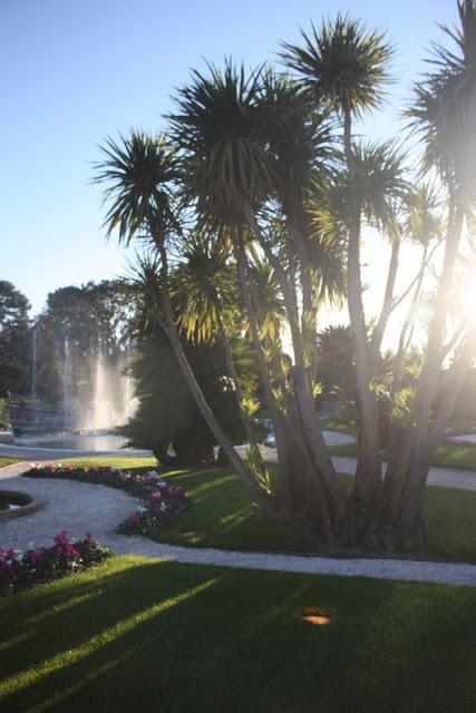 Une journée d'hiver... dans les jardins de la Villa Ephrussi de Rothschild Une journée d'hiver... dans les jardins de la Villa Ephrussi de Rothschild
