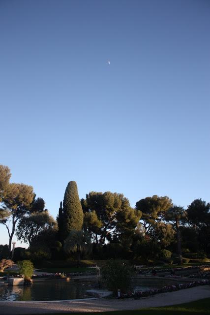 Une journée d'hiver... dans les jardins de la Villa Ephrussi de Rothschild Une journée d'hiver... dans les jardins de la Villa Ephrussi de Rothschild