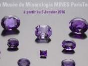 Des” joyaux Couronne” exposés musée minéralogie
