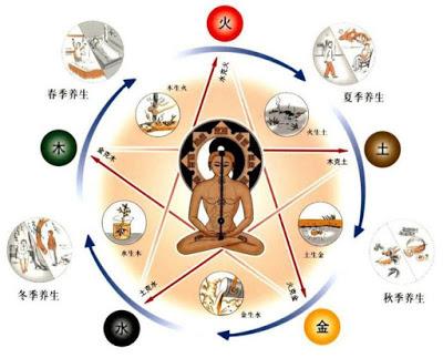 ventre symbole fort médecine chinoise