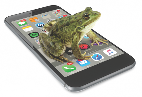 Marketing de la grenouille – le consommateur enfant de la crise - Marketing & Innovation le marketing de la grenouille