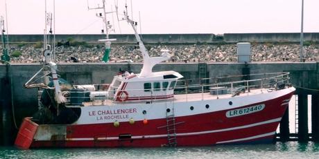 Pêche à La Rochelle : un plan B pour les chalutiers