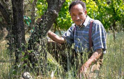 Entretien avec Pierre Rabhi