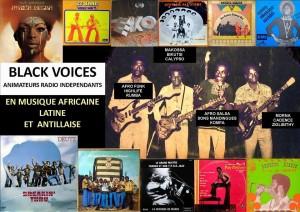 bannière RADIO- Black Voices - Afrozap Emission Radio