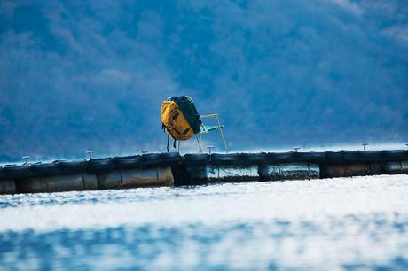 HOBO – S/S 2016 COLLECTION LOOKBOOK