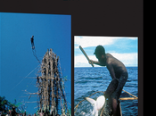 [DVD] Devenir homme Mélanésie, deux initiations spectaculaires