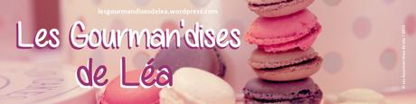 BANNIERE MACARON NOM BLOG 3