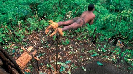 [DVD] Devenir un homme en Mélanésie, deux initiations spectaculaires !