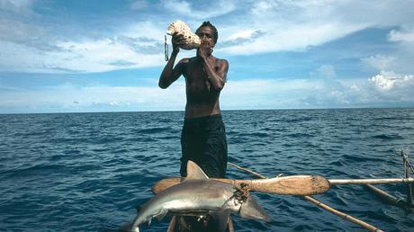 [DVD] Devenir un homme en Mélanésie, deux initiations spectaculaires !