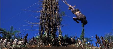 [DVD] Devenir un homme en Mélanésie, deux initiations spectaculaires !