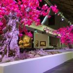 AGENDA : BRAFA 2016