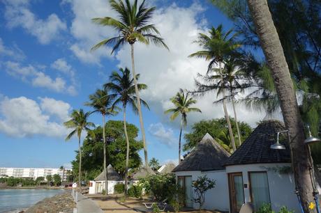 Guadeloupe: bonnes adresses et conseils