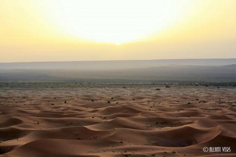 Bivouac Merzouga