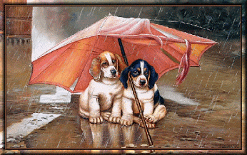 Semaine du 11 au 17 Janvier 2016