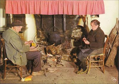 Que fait le jardinier en janvier, quand il gèle ?