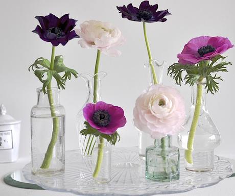 Des fleurs et des gourmandises