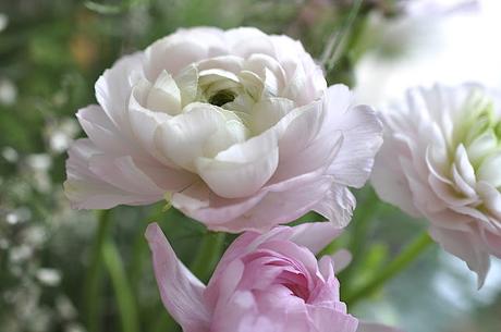 Des fleurs et des gourmandises