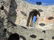 jours vingt pays (2012)