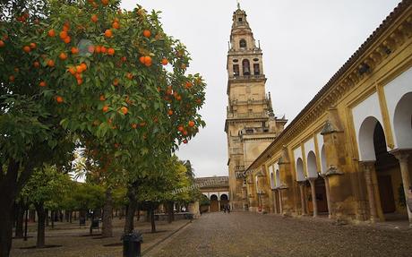 528_  Porto...Lisboa...Séville... Cordoue... Grenade... décembre janvier