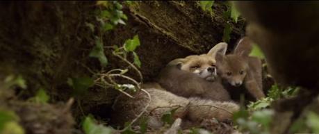 LES SAISONS de Jacques Perrin et Jacques Cluzaud