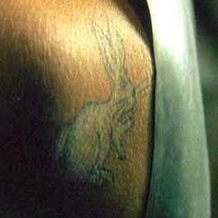 Alice au pays des merveilles : influence #3 MAtrix