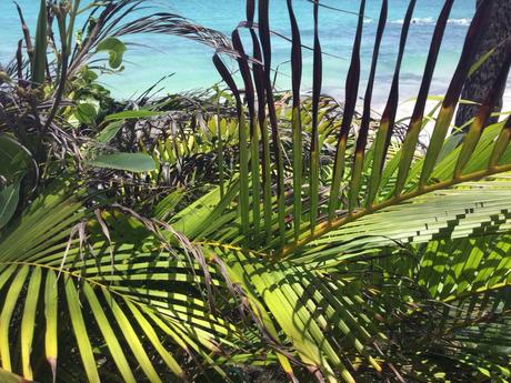 1 photo 1 histoire : un dimanche bleu turquoise